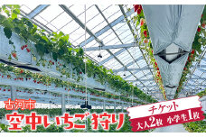 古河市 空中いちご狩り チケット 大人2枚 小学生1枚 ｜ いちご イチゴ 苺 いちご狩り 白いちご 食べ放題 ※2025年4月下旬頃より順次発送予定 _FV02