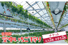古河市 空中いちご狩り チケット 大人2枚 小学生2枚 ｜ いちご イチゴ 苺 いちご狩り 白いちご 食べ放題 ※2025年4月下旬頃より順次発送予定 _FV03