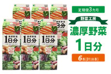 【定期便3カ月】野菜工房　濃厚野菜1日分 6本 | 野菜 ドリンク ジュース 砂糖不使用 食塩不使用 朝食 野菜ジュース 飲みやすい 便利 手軽 おいしい 美味しい 茨城県 古河市 _DT16