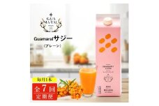 【定期便7カ月】サジー グアマラルサジー 1000ml　毎月1本7カ月コース｜サジージュース サジー シーベリー 沙棘 グアマラル 健康ドリンク 健康 美容 栄養 果汁 鉄分補給 栄養補給 健康食品 _DX26