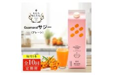【定期便10カ月】サジー グアマラルサジー 1000ml　毎月1本10カ月コース｜サジージュース サジー シーベリー 沙棘 グアマラル 健康ドリンク 健康 美容 栄養 果汁 鉄分補給 栄養補給 健康食品 _DX29
