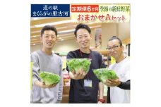【定期便6か月】道の駅まくらがの里古河　季節の新鮮野菜おまかせAセット ※北海道・沖縄・離島への配送不可 | 野菜 詰合せ 詰め合わせ セット アソート 新鮮 道の駅 人気 ギフト 贈答 贈り物 プレゼント お中元 お歳暮 茨城県 古河市 直送 産地直送 _BQ07