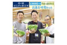 【定期便6か月】道の駅まくらがの里古河　季節の新鮮野菜おまかせBセット ※北海道・沖縄・離島への配送不可 | 野菜 詰合せ 詰め合わせ セット アソート 新鮮 道の駅 人気 ギフト 贈答 贈り物 プレゼント お中元 お歳暮 茨城県 古河市 直送 産地直送 _BQ08