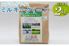 【令和7年産新米／先行受付】スプリングライス ミルキークイーン (白米)2kg｜こめ 米 コメ 白米 白飯 精米 みるきーくいーん ﾐﾙｷｰｸｲｰﾝ 新米 国産 茨城県 古河市 こだわり おいしい 令和7年産_FN10 ※2025年8月中旬頃より順次発送予定