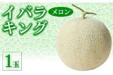 【先行予約】イバラキング メロン 1玉｜メロン ブランド 果物 フルーツ 坂東太郎 期間限定 季節物 高級 美味しい 甘い 緑色 茨城県 古河市_CB23 ※北海道・沖縄・離島への配送不可 ※2026年7月上旬頃より順次発送予定