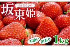 坂東姫 1kg 不揃い訳あり｜いちご 苺 イチゴ 訳あり 坂東太郎 果物 フルーツ 紅ほっぺ オリジナル ブランド 期間限定 季節物 茨城県 古河市_CB21 ※北海道・沖縄・離島への配送不可 ※2025年12月下旬頃より順次発送予定