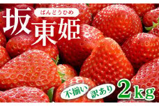坂東姫 2kg 不揃い訳あり｜いちご 苺 イチゴ 訳あり 坂東太郎 果物 フルーツ 紅ほっぺ オリジナル ブランド 期間限定 季節物 美味しい 甘い 酸味 茨城県 古河市_CB22 ※北海道・沖縄・離島への配送不可 ※2025年12月下旬頃より順次発送予定