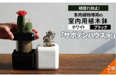 【2個セット ブラック・ホワイト】根腐れ防止！多肉植物専用の室内用植木鉢「サボテンハウス(R)」　かわいいキューブ型植木鉢　日用品　贈答品　プレゼント　ギフト _GD03