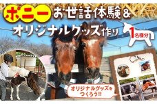 ポニーお世話体験＆オリジナルグッズ作り 1名分 | ネーブルパーク ポニー 厩務体験 体験 公園 子供 子ども 休日 夏休み 冬休み GW 贈り物 プレゼント 茨城県 古河市 送料無料 着日指定可 _DP96