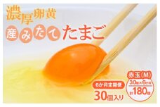 【6ヶ月定期便】小久保ファーム 濃厚卵黄 産みたてたまご 赤玉30個入り（M玉） | 定期便 6カ月 6回 卵 30個 赤玉 玉子 たまご タマゴ 生卵 鶏卵 産みたて 新鮮 濃厚 健康 国産 ギフト 贈答 贈り物 お中元 お歳暮 プレゼント 農家直送 _EI06
