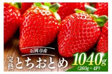 【2026年先行予約】完熟いちご（とちおとめ） A40-001