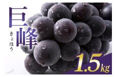 【 2025年 先行予約 】 巨峰 1.5kg ( 種あり ) 石田ぶどう園 4房 ～ 6房 国産 ぶどう ブドウ 果物 くだもの 葡萄 フルーツ 1.5キロ 9月 10月 発送 秋 旬 品種 茨城県産 産地直送 産直 農家直送 冷蔵 茨城県 石岡市 (A02-001)