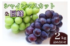 【 2025年 先行予約 】 シャインマスカット と 巨峰 ( 種あり ) 2kg 石田ぶどう園 ぶどう 詰合せ ブドウ 国産 果物 葡萄 フルーツ 2キロ 9月 10月 発送 秋 旬 品種 茨城県産 産地直送 産直 農家直送 冷蔵 茨城県 石岡市 (A02-008)