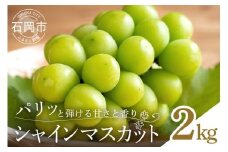 【 2025年 先行予約 】 シャインマスカット 2kg 石田ぶどう園 3房 ～ 5房 種なし ぶどう ブドウ 国産 果物 くだもの 大粒 葡萄 種無し フルーツ 2キロ 9月 10月 発送 秋 旬 品種 茨城県産 産地直送 産直 農家直送 冷蔵 茨城県 石岡市 (A02-015)