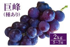 【 2025年 先行予約 】 巨峰 2kg ( 種あり ) 開田ぶどう園 5房 ～ 7房 ぶどう ブドウ 国産 果物 くだもの 葡萄 フルーツ 2キロ 8月 下旬 9月 発送 夏 秋 旬 品種 茨城県産 産地直送 産直 農家直送 冷蔵 茨城県 石岡市 (A01-002)