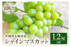 【 2025年 先行予約 】 シャインマスカット 1.2kg 開田ぶどう園 2房 ぶどう ブドウ 国産 果物 くだもの 葡萄 フルーツ 1.2キロ 1kg 以上 甘い 糖度 高い 9月 10月 発送 秋 旬 品種 茨城県産 産地直送 産直 農家直送 冷蔵 茨城県 石岡市 (A01-004)
