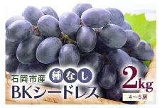 【 2025年 先行予約 】 BKシードレス ( 種なし ) 2kg 開田ぶどう園 4房 ～ 5房 ぶどう ブドウ 種無しぶどう 国産 果物 くだもの 葡萄 フルーツ 2キロ 甘い 糖度 高い 9月 発送 秋 旬 品種 茨城県産 産地直送 産直 農家直送 冷蔵 茨城県 石岡市 (A01-007)