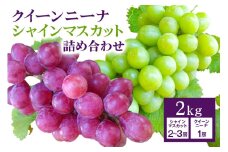 【 2025年 先行予約 】 シャインマスカット ＆ クイーンニーナ 詰め合わせ 2kg 開田ぶどう園 ぶどう ブドウ 国産 果物 くだもの 葡萄 フルーツ セット ギフト 2キロ 9月 10月 発送 夏 秋 旬 産地直送 産直 農家直送 冷蔵 茨城県 石岡市 (A01-009)