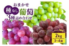 【 2025年 先行予約 】 おまかせ 種なし 葡萄 3種 詰め合わせ 2kg 開田ぶどう園 3房 ～ 4房 種無し 品種 お任せ 食べ比べ セット ぶどう ブドウ 果物 くだもの フルーツ 2キロ 9月 10月 発送 秋 旬 茨城県産 産地直送 産直 農家直送 冷蔵 茨城県 石岡市 (A01-010)