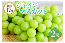 【 2025年 先行予約 】 シャインマスカット 2房 糖度 17度以上 久家ぶどう園 約 1.4kg ～ 1.5kg ぶどう ブドウ 有機 肥料 ハウス 栽培 果物 葡萄 フルーツ 9月 10月 発送 秋 旬 品種 茨城県産 産地直送 産直 農家直送 冷蔵 茨城県 石岡市 (A04-005)