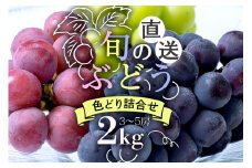 【 2025年 先行予約 】 旬のぶどう 色とりどり 詰合せ 2kg 太郎兵衛果樹園 3房 ～ 5房 詰め合わせ 品種 お任せ 食べ比べ セット 果物 くだもの ぶどう ブドウ フルーツ 2キロ 9月 10月 発送 秋 旬 茨城県産 産地直送 産直 農家直送 冷蔵 茨城県 石岡市 (A03-003)
