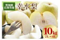 【 2025年 先行予約 】 幸水梨 2L～4L（ 二段 10kg ）梨 約 24玉 ～ 32玉 品種 幸水 なし ナシ 果物 フルーツ 4L 3L 2L サイズ 10キロ 8月 発送 夏 旬 産地直送 農家直送 産直 国産 くだもの 甘い 酸味 茨城県産 茨城県 石岡市 (A15-001)