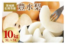 【 2025年 先行予約 】 豊水梨 3L～5L （二段 10kg ）梨 約 20玉 ～ 28玉 品種 幸水 なし ナシ 果物 フルーツ 大玉 5L 4L 3L サイズ 10キロ 8月 発送 夏 旬 産地直送 農家直送 産直 国産 くだもの 甘い 酸味 茨城県産 茨城県 石岡市 (A15-003)