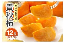 【 2025年 先行予約 】 貴秋柿 2L 12玉 （鈴木柿園） 柿 甘い柿 糖度高い 貴秋かき 大玉 カキ 甘い 果物 フルーツ くだもの カキ 貴秋かき 秋 旬 甘柿 贈答用 贈答品 ギフト 贈り物 品種 ブランド 10月 11月 発送 産地直送 農家直送 産直 茨城県 石岡市 (A08-004)