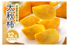 【 2025年 先行予約 】 太秋柿 2L 12玉（鈴木柿園） 柿 甘い柿 太秋かき 大玉 カキ 甘い 果物 フルーツ くだもの カキ 太秋かき 秋 旬 甘柿 糖度 贈答用 贈答品 ギフト 贈り物 品種 ブランド 10月 11月 発送 産地直送 農家直送 産直 茨城県 石岡市 (A08-003)