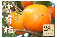 【2025年　先行予約】 富有柿 2L 二段 28玉 （ミナミ観光果樹園） 柿 甘い柿 かき 富有カキ 甘い 果物 フルーツ くだもの カキ 富有かき 秋 旬 甘柿 糖度 贈答用 贈答品 ギフト 贈り物 品種 ブランド 産地直送 農家直送 産直 茨城県 石岡市 (A09-004)