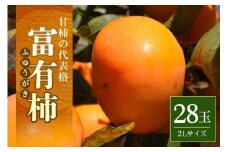 【2025年 先行予約】富有柿 2L 28玉（三浦果樹園） 柿 甘い柿 かき 富有カキ 甘い 果物 フルーツ くだもの カキ 富有かき 秋 旬 甘柿 糖度 贈答用 贈答品 ギフト 贈り物 品種 ブランド 11月 発送 産地直送 農家直送 産直 茨城県 石岡市 (A16-002)