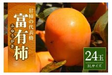 【2025年 先行予約】富有柿 3L 24玉（三浦果樹園）柿 甘い柿 大玉 かき 富有カキ 甘い 果物 フルーツ くだもの カキ 富有かき 秋 旬 甘柿 糖度 贈答用 贈答品 ギフト 贈り物 品種 ブランド 11月 発送 産地直送 農家直送 産直 茨城県 石岡市 (A16-004)
