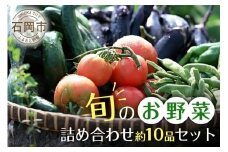 石岡の旬野菜詰め合わせ 約10品目 新鮮野菜セット 野菜 詰合せ 詰め合わせセット 詰め合わせ お任せ 旬の味 産地直送 農家直送 産直 お任せセット 茨城県 石岡市 ほりぐち農園 (B01-001)