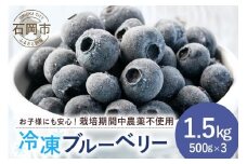 元気に育った ブルーベリー 1.5kg 冷凍 ( 500g 3パック ) 農薬 栽培期間中 不使用 果物 フルーツ 1.5キロ 手摘み 急速冷凍 国産 産地直送 農家直送 産直 夏 7月 以降 発送 くだもの スムージー ジャム ヨーグルト デザート 茨城 茨城県 石岡市 (A11-005)