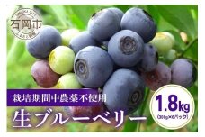 ブルーベリー 1.8kg ( 300g 6パック ) 生 手摘み 新鮮 完熟 冷蔵 農薬 栽培期間中 不使用 果物 フルーツ 国産 産地直送 農家直送 産直 夏 7月 8月 発送 くだもの アントシアニン 茨城 茨城県 石岡市 (F09-001)
