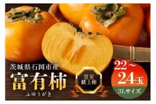 【 2025年 先行予約 】八郷柿出荷組合の 富有柿 3L（二段 22～24玉）柿 皇室献上柿 かき 富有カキ 果物 フルーツ くだもの カキ 富有かき 秋 旬 高級 糖度 贈答用 贈答品 ギフト 贈り物 品種 ブランド 11月 12月 発送 産地直送 農家直送 産直 茨城県 石岡市 (A21-001)
