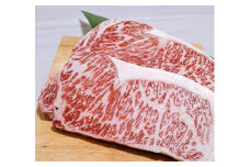 常陸牛 特選 サーロイン ステーキ A5 400g (200g×2枚) 雌 希少部位 赤身 霜降り 肉厚 肉質柔らか 希少 高級 国産 和牛 贈答用 ギフト 記念日 プレゼント 贈答品 BBQ すき焼き ステーキ用 茨城県 石岡市 (C06-002)