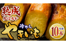 冷やし焼き芋 10本 1箱 べにはるか さつまいも 焼き芋 芋 焼いも 焼芋 サツマイモ スイーツ感覚 ねっとり 甘い 熟成 冷やし やきいも しっとり 美味しい アイスクリーム 相性抜群 ギフト 贈答用 健康おやつ 石岡市 (A35-003)