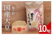大豆 10kg 極小粒 岡田ファーム だいず ダイズ 国産 小粒 大容量 料理 煮豆 豆乳 納豆 用途多彩 健康食品 高たんぱく 保存食 産地直送 送料無料 (B02-025)