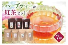 紅茶 &ハーブティー セット 生姜紅茶 ローズ紅茶 たんぽぽ茶 栗 紅茶 柿 紅茶 さくら 紅茶 さくら 緑茶 リラックス 健康茶 癒し ホットティー お茶 ハーブ フルーツティー 茨城県 石岡市 (E15-009)