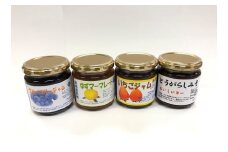ゆずマーマレード ブルーベリージャム イチゴジャム とうがらしみそ 4点セット 手作り ジャム 甘辛味噌 ごはんのお供 パン トースト ヨーグルト おにぎり 料理 アレンジ 贈答 ギフト 茨城県 石岡市 (G04-001)
