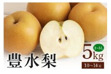 豊水梨 箱込約 5kg（JA新ひたち野）梨 約 10玉 ～ 14玉 品種 豊水 なし ナシ 果物 フルーツ 大玉 5L 4L 3L サイズ 5キロ 8月 9月 発送 夏 秋 旬 産地直送 農家直送 産直 国産 くだもの 甘い 糖度 茨城県産 茨城県 石岡市 (B01-010)