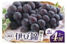 【 2025年 先行予約 】 伊豆錦 ( 種なし ) 2kg 石田ぶどう園 3房 ～ 4房 種なし ぶどう ブドウ 国産 果物 くだもの 葡萄 種無し フルーツ 2キロ 9月 10月 発送 秋 旬 品種 茨城県産 産地直送 産直 農家直送 冷蔵 茨城県 石岡市 (A02-012)
