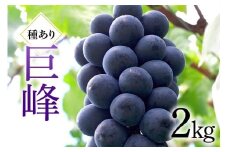 巨峰 2kg ( 種あり ) 川田ぶどう園 ぶどう ブドウ 国産 果物 くだもの 葡萄 黒系ぶどう 甘い フルーツ 2キロ 9月 発送 秋 旬 品種 茨城県産 産地直送 産直 農家直送 冷蔵 茨城県 石岡市 (A06-001)