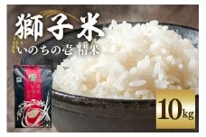 【令和7年産】獅子米 いのちの壱 精米 10kg 岡田ファーム コンテスト受賞米 お米 白米 米 おこめ ブランド米 10キロ 国産 単一原料米 コメ こめ ご飯 銘柄米 茨城県産 茨城 産直 産地直送 農家直送 ごはん 家庭用 贈答用 お取り寄せ 茨城県 石岡市 (B02-018)