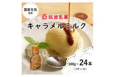 【大容量】 キャラメルミルク 300g × 24本 キャラメルソース 国産加糖練乳 練乳 アイス パン スイーツ 朝食 お菓子 トースト 贅沢な味わい 乳業メーカー 筑波乳業 香料・着色料不使用 茨城県 石岡市 (E18-001)