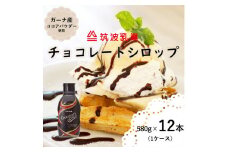 【大容量】チョコレートシロップ 580g × 12本 （ チョコレートソース ） チョコ チョコレート チョコレートシロップ アイス アイスクリーム 大容量 ガーナ産 ココア パウダー使用 ドリンク パン ケーキ 料理 トッピング しっとり 甘い 茨城県 石岡市　 (E18-003)