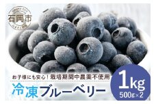 元気に育った ブルーベリー 1kg 冷凍 ( 500g 2パック ) 農薬 栽培期間中 不使用 果物 フルーツ 1キロ 手摘み 急速冷凍 国産 産地直送 農家直送 産直 夏 7月 以降 発送 くだもの スムージー ジャム ヨーグルト デザート 茨城 茨城県 石岡市 (A11-008)