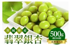 つくば 銀杏 ( ぎんなん ) 蒸し 冷凍 翡翠銀杏 ( ひすいぎんなん ) 500g 農薬不使用 無着色 贈答品 ギフト 高級 旬 食材 食品 国産 冷凍保存 産地直送 送料無料 (A24-002)
