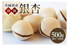 つくば 銀杏 ( ぎんなん ) 殻割 冷凍 500g 農薬不使用 無着色 贈答品 ギフト 高級 旬 食材 食品 国産 冷凍保存 産地直送 送料無料 (A24-001)